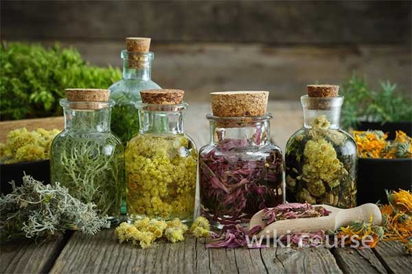 طب سنتی و گیاهان دارویی 2 طب سنتی و گیاهان دارویی